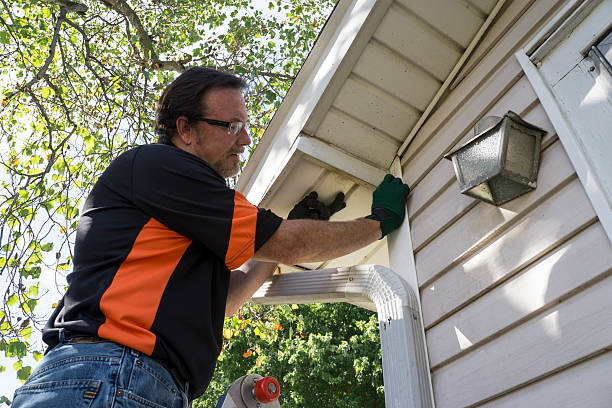 Shed Removal in West Falmouth, MA